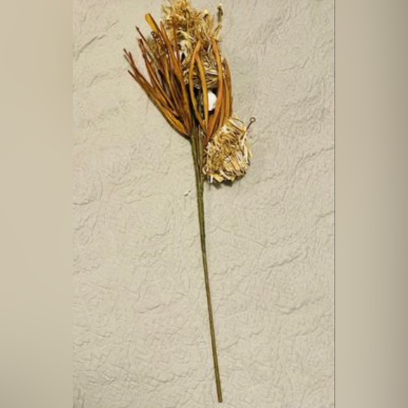 *Cotton & Fall Grass Branch, 28” - Picture 5 of 10